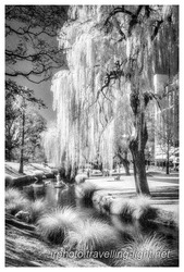 Avon River, Christchurch